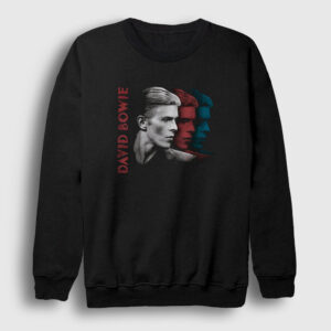 Colorful David Bowie Sweatshirt