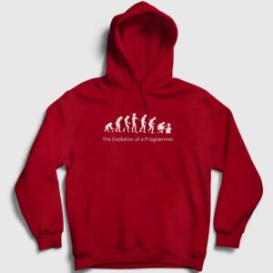 Evolution Evrim Developer Yazılımcı Kapşonlu Sweatshirt