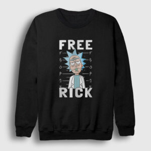 Free Rick And Morty Sweatshirt siyah