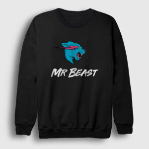 Logo Mr Beast Sweatshirt