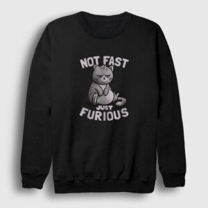 Not Fast Just Furious Cat Kedili Sweatshirt siyah