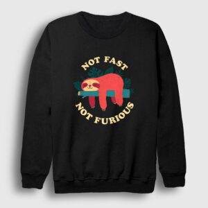 Not Fast Not Furious Tembel Hayvan Sweatshirt
