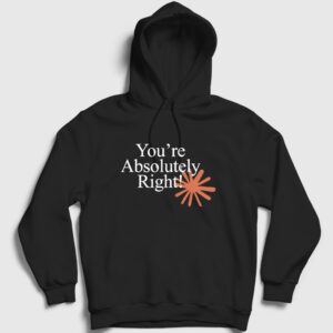 You're Absolutely Right Claude Code Kapşonlu Sweatshirt Siyah