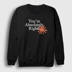 You're Absolutely Right Claude Code Sweatshirt Siyah